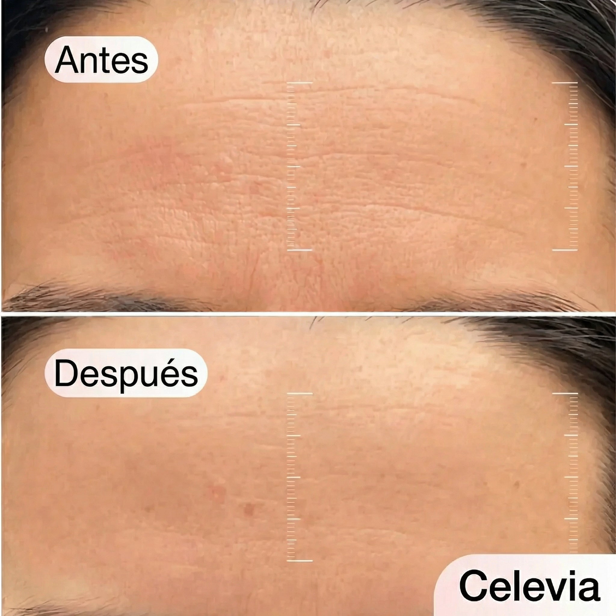 Mascarilla de Bio-Colágeno + Brocha